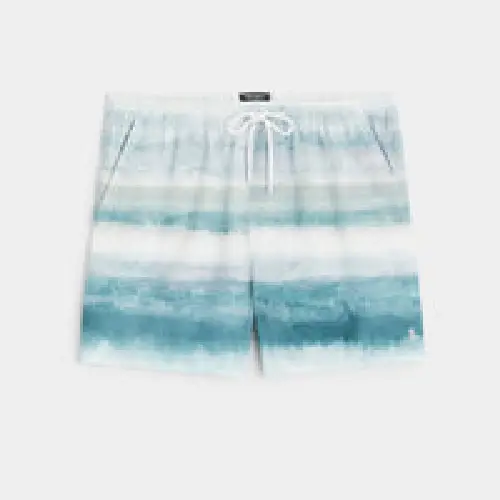 todd best men's bathing suits Swim Shorts in Watercolor